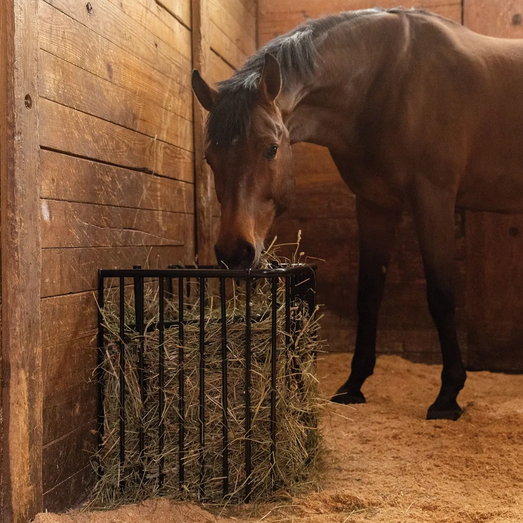 Flat Wall Slow Feed Floor Hay Rack precision sheet metal fabrication - View 3